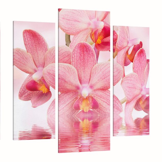 Obrazy na płótnie orchidea Różowe storczyki na wodzie