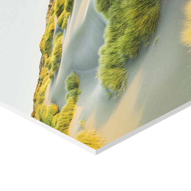 Zielony obraz Wydmy i trawy nad morzem