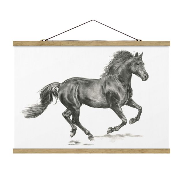 Obrazy koń Studium dzikiego konia - ogier