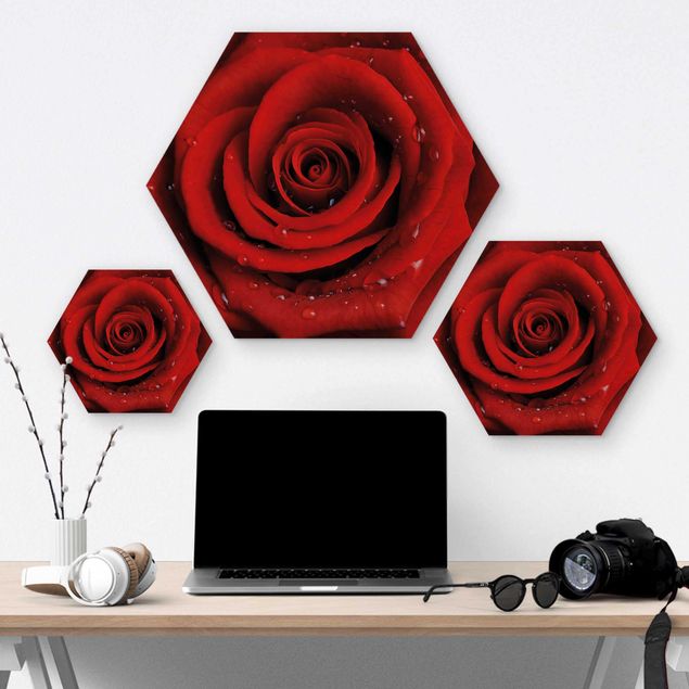 Obraz heksagonalny z drewna - Róża czerwona z kroplami wody