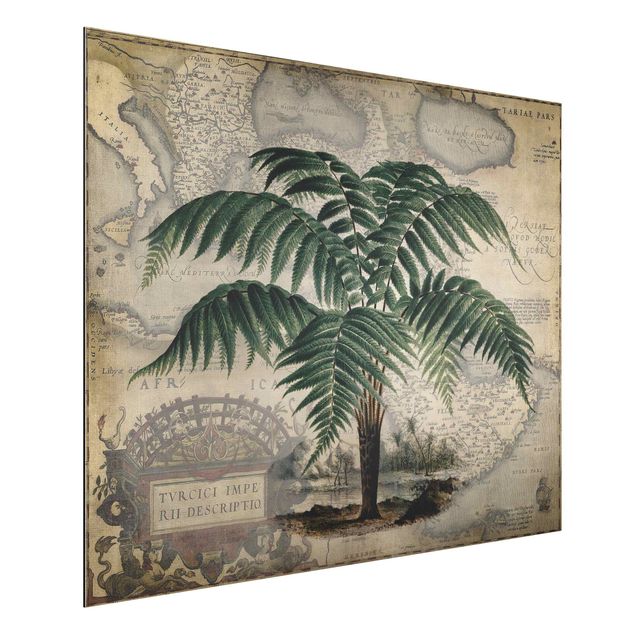 Dekoracja do kuchni Kolaż w stylu vintage - drzewo palmowe i mapa świata
