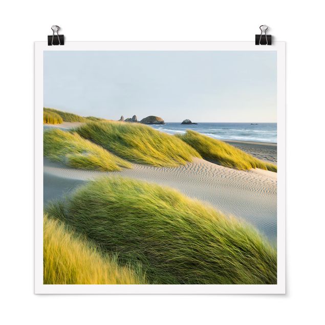 Obrazy nowoczesny Wydmy i trawy nad morzem