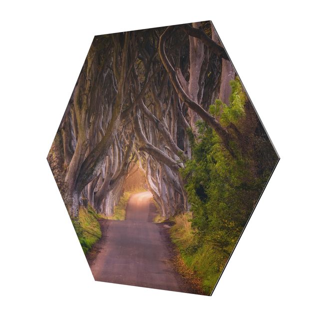 Obrazy 3d Tunel z drzew