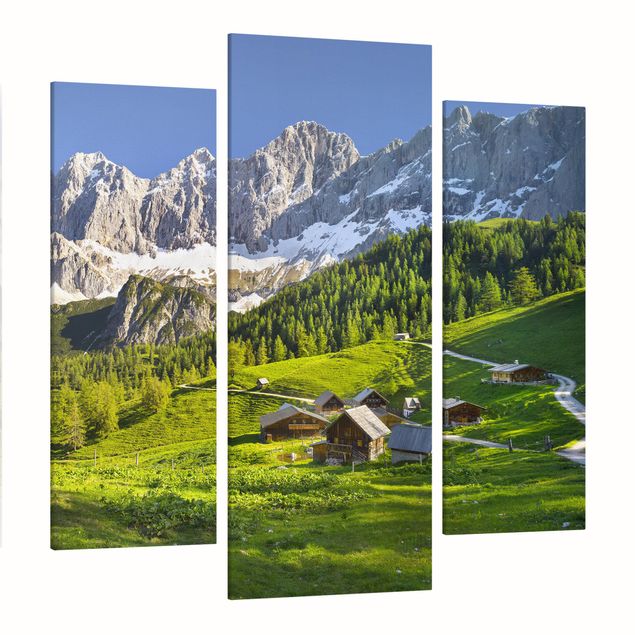 Obrazy góry Styria Alpejska łąka