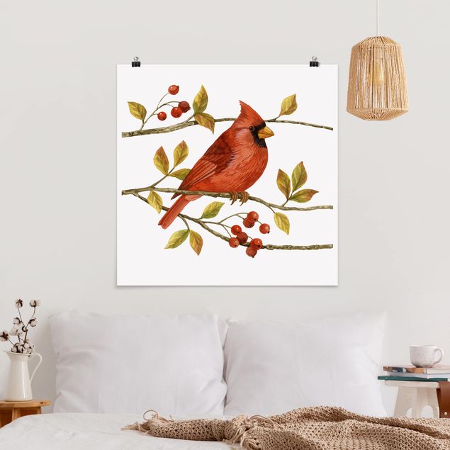 Nowoczesne obrazy do salonu Ptaki i jagody - Czerwony kardynał