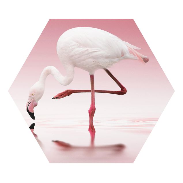 Pióro obraz Taniec flamingów