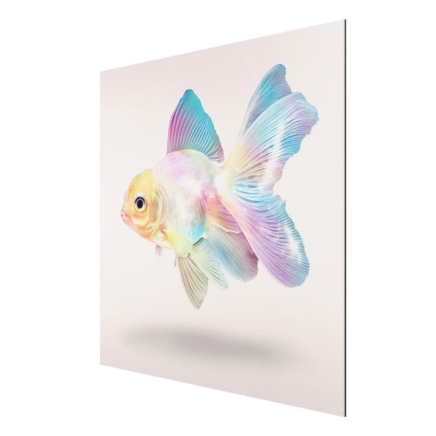 Obrazy nowoczesny Ryby w pastelach