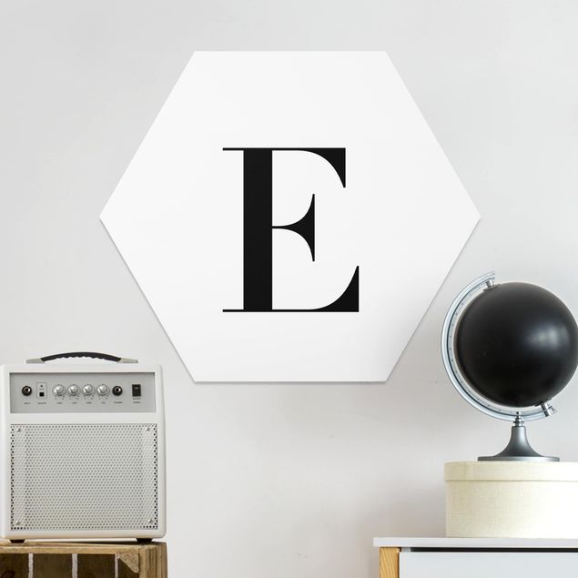 Obrazy do salonu nowoczesne Biała litera Szeryf E