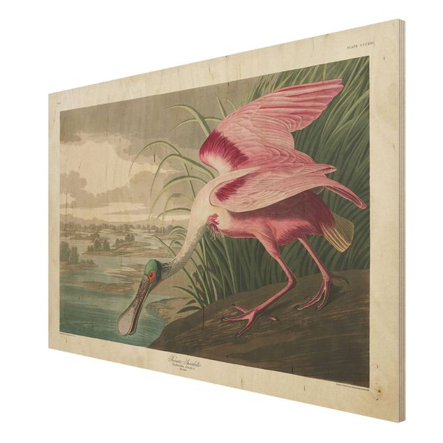 Obrazy drewniane Tablica edukacyjna w stylu vintage Jesiotr różowy
