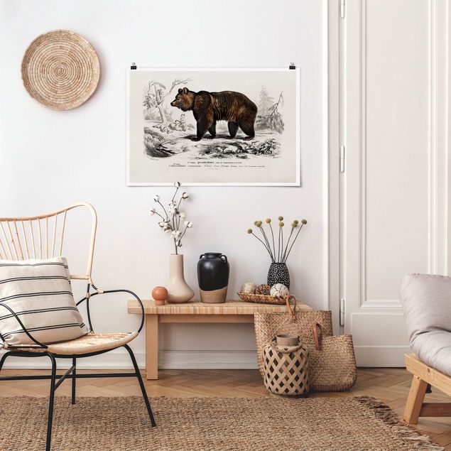 Dekoracja do kuchni Tablica edukacyjna w stylu vintage Niedźwiedź brunatny