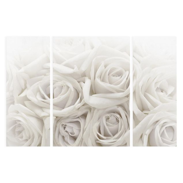 Obrazy kwiatowe Białe róże