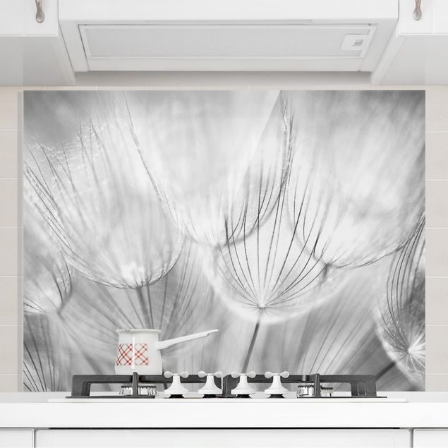 Dekoracja do kuchni Zdjęcie makro mniszka lekarskiego w czerni i bieli