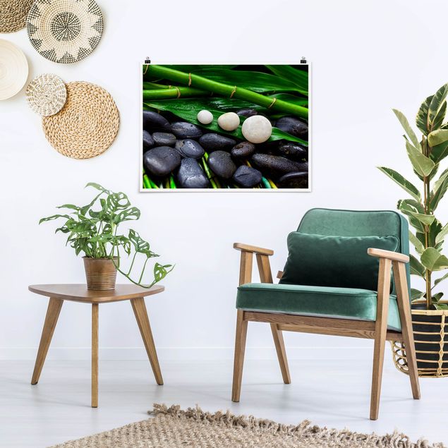 Obrazy do salonu Zielony bambus z kamieniami Zen