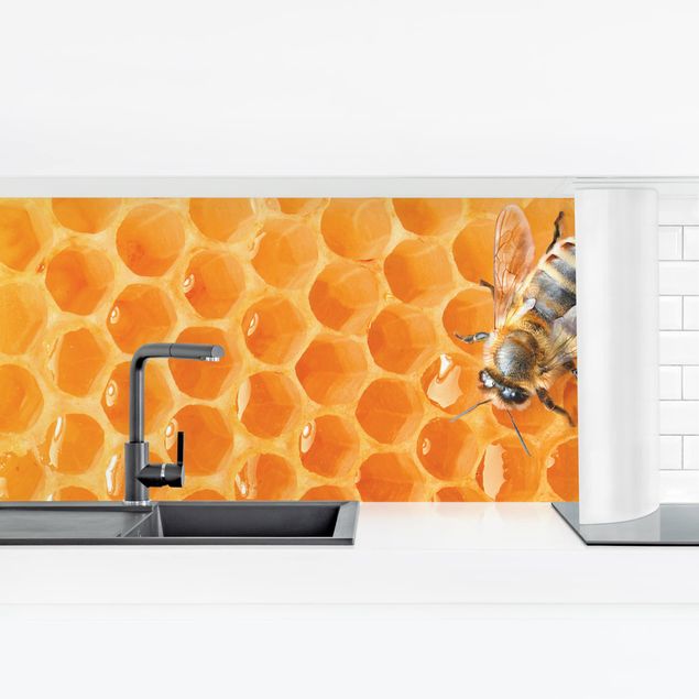 Panel ścienny do kuchni - Pszczoła miodna