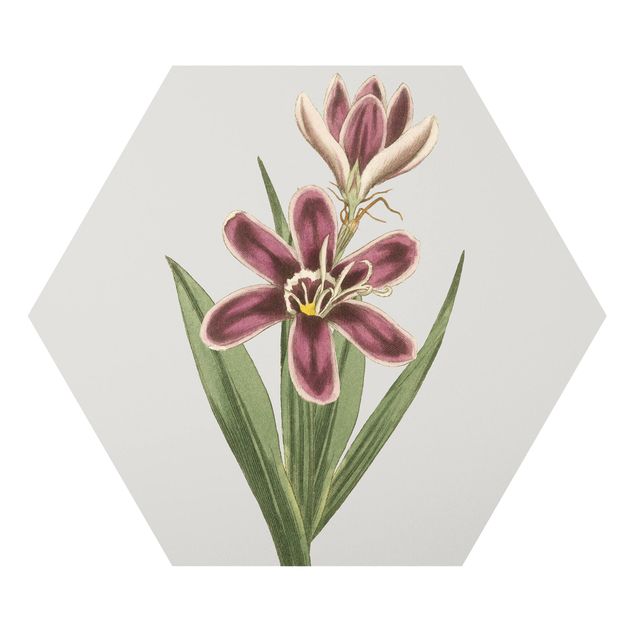 Obrazy retro Biżuteria z kwiatów II