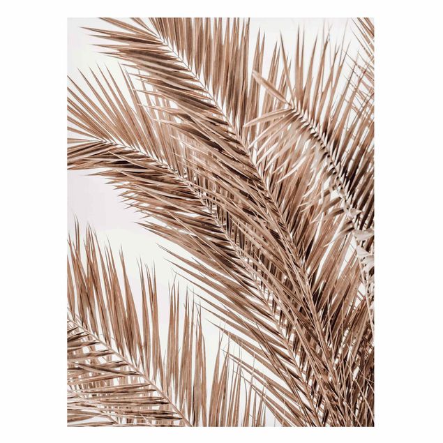 Obrazy do salonu nowoczesne Brązowe liście palmy