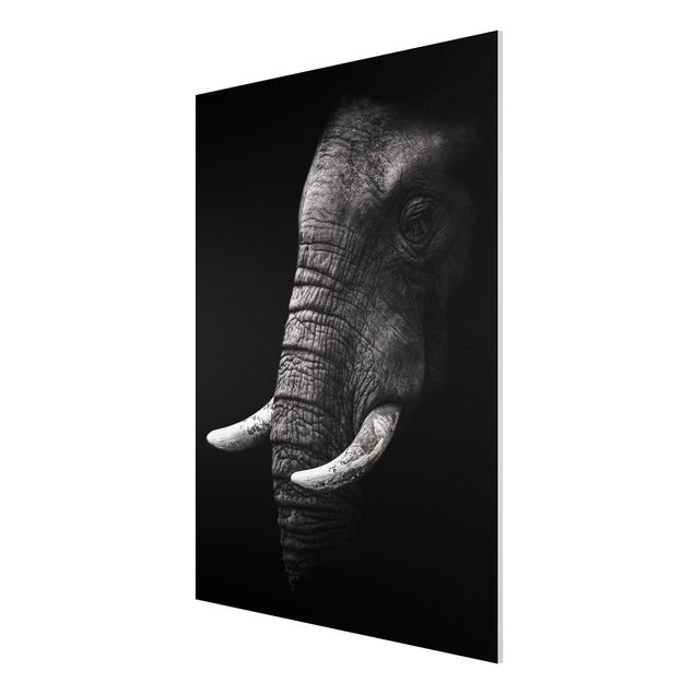 Obrazy nowoczesne Portret ciemnego słonia