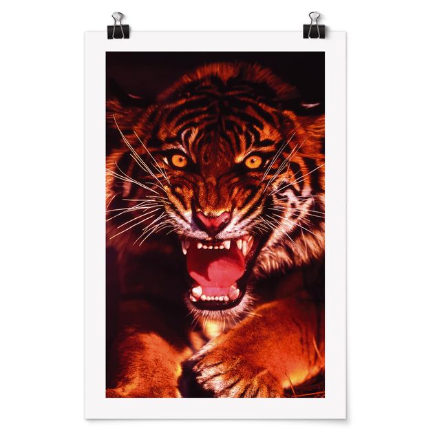 Obrazy ze zwierzętami Dziki tygrys