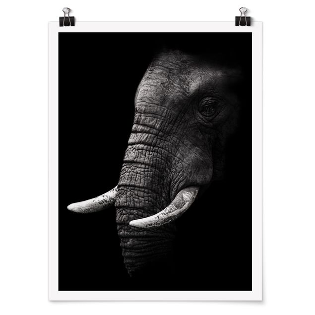 Obrazy na ścianę krajobrazy Portret ciemnego słonia