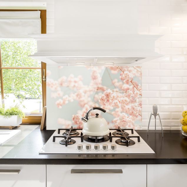 Panele szklane do kuchni Blask kwiatu wiśni