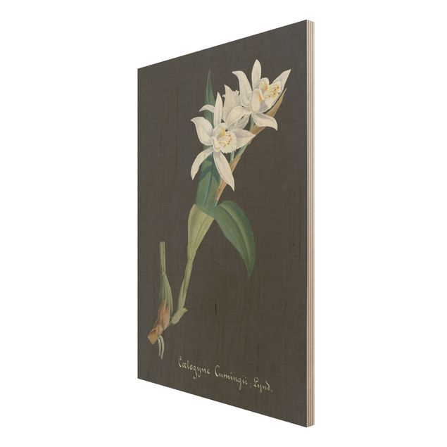 Obrazy drewniane Biała orchidea na lnie II