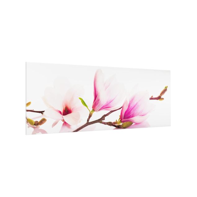 Panel szklany do kuchni - Gałązka magnolii delikatnej