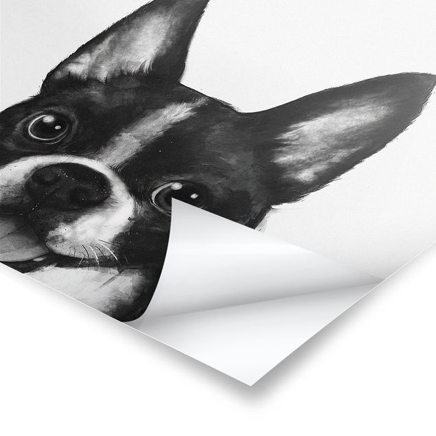 Plakaty czarno białe Ilustracja pies Boston czarno-biały Painting