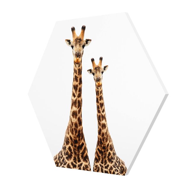 Obraz heksagonalny Portait Dwie żyrafy