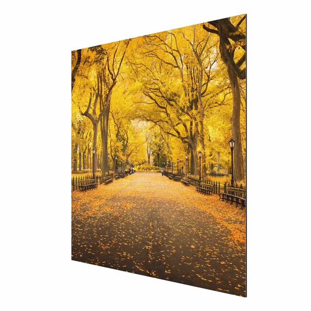 Obrazy nowoczesny Jesień w Central Parku