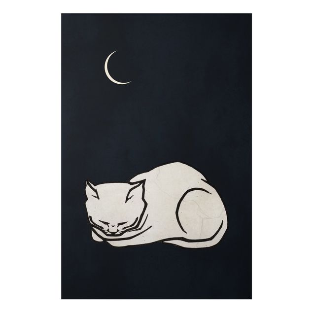 Nowoczesne obrazy do salonu Ilustracja przedstawiająca śpiącego kota