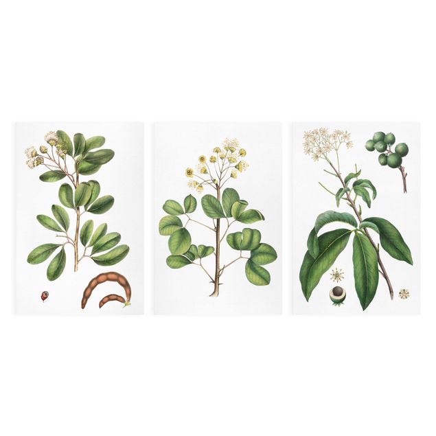 Obrazy retro Praca liściasta z kwiatami Zestaw I