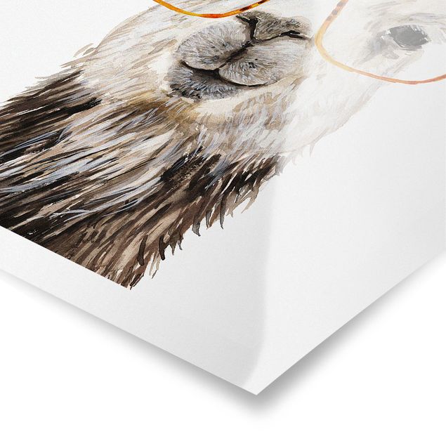 Plakaty zwierzęta Hippy Llama w okularach IV
