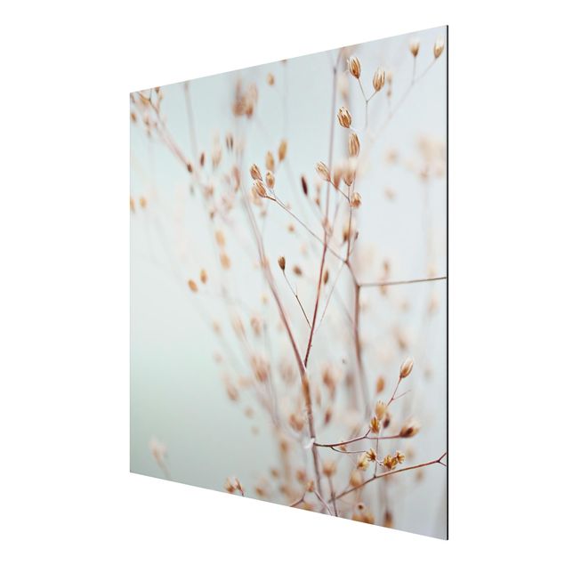 Obrazy nowoczesny Pąki pastelowe na gałązce polnych kwiatów