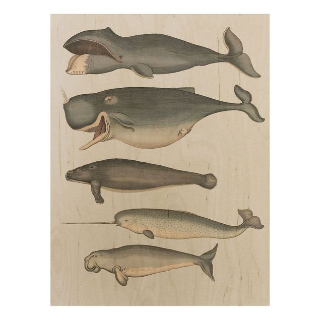 Obrazy Pięć wieloryby w stylu vintage