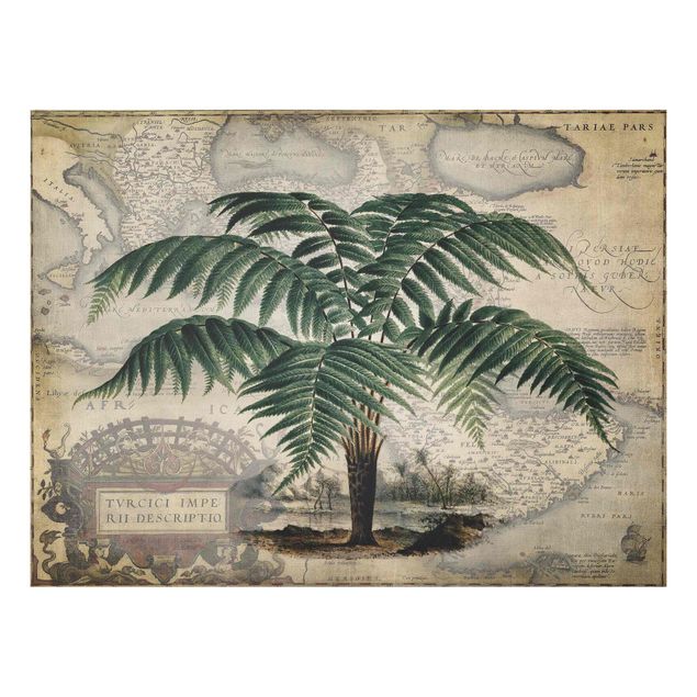 Obrazy do salonu nowoczesne Kolaż w stylu vintage - drzewo palmowe i mapa świata