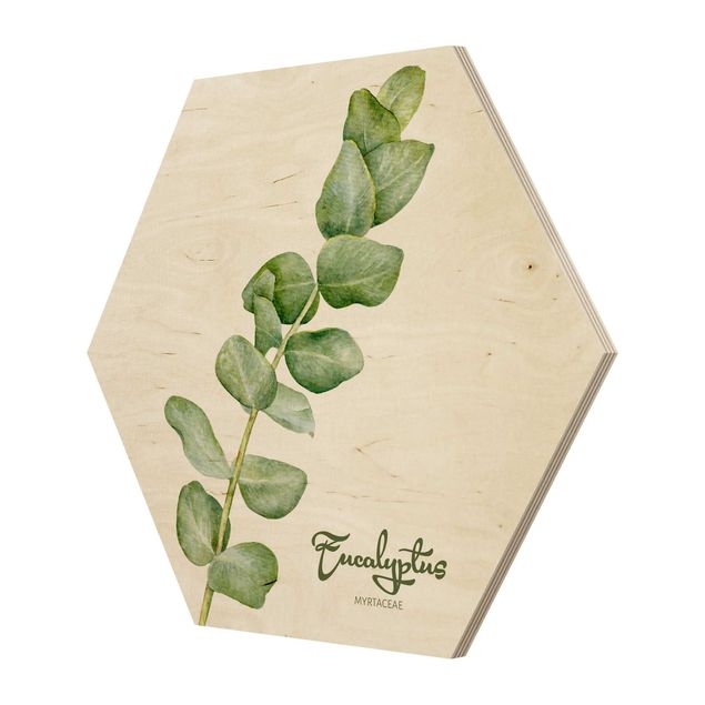 Obraz heksagonalny z drewna - Akwarela Botanika Eukaliptus