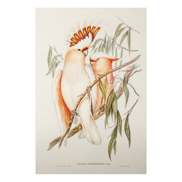 Obrazy do salonu Ilustracja w stylu vintage różowy kakadu