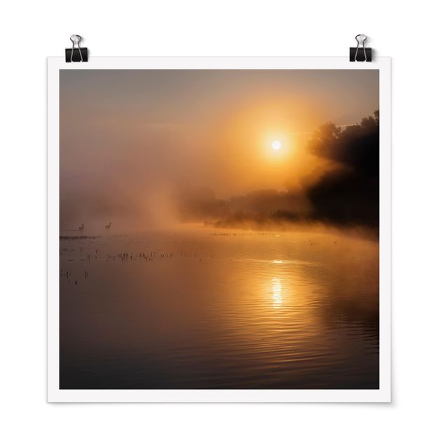 Obrazy nowoczesny Wschód słońca nad jeziorem z jeleniami we mgle