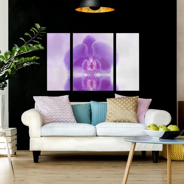 Obrazy orchidea Purpurowy storczyk na wodzie