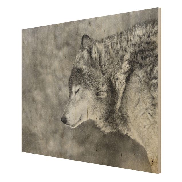 Obrazy z drewna Winter Wolf
