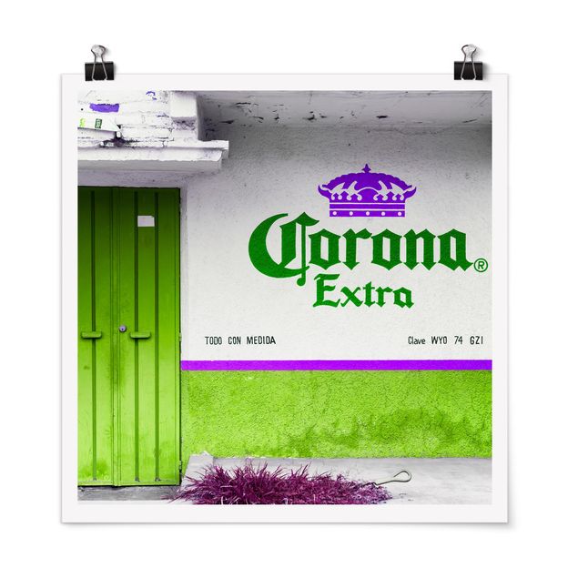 Obrazy nowoczesny Corona Extra Green