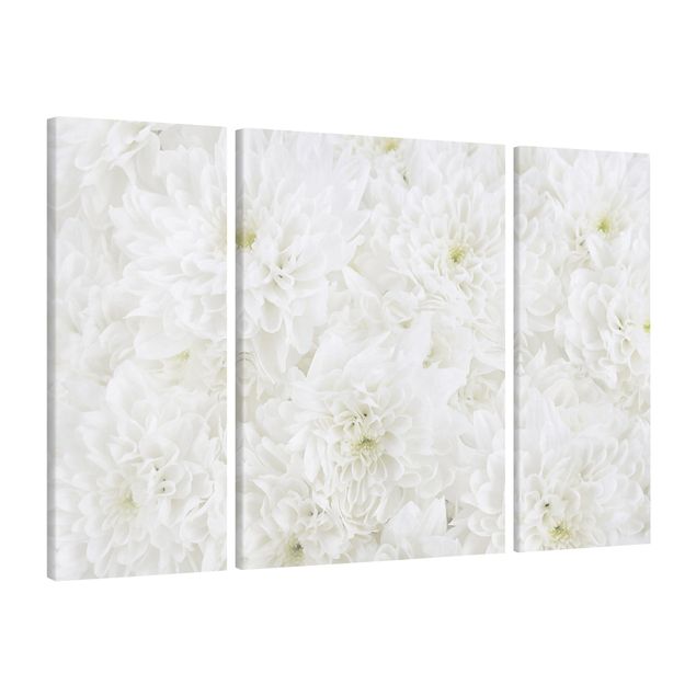 Obrazy kwiatowe Dahlie Morze kwiatów białe