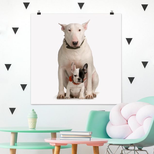 Nowoczesne obrazy Bull Terrier i przyjaciel