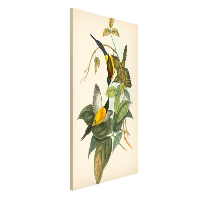 Dekoracja do kuchni Ilustracja w stylu vintage Ptaki tropikalne IV