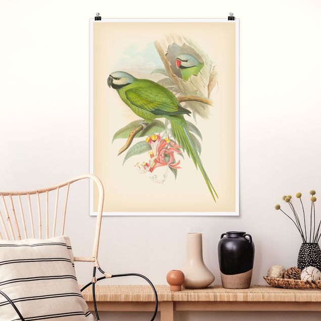 Dekoracja do kuchni Ilustracja w stylu vintage Ptaki tropikalne II