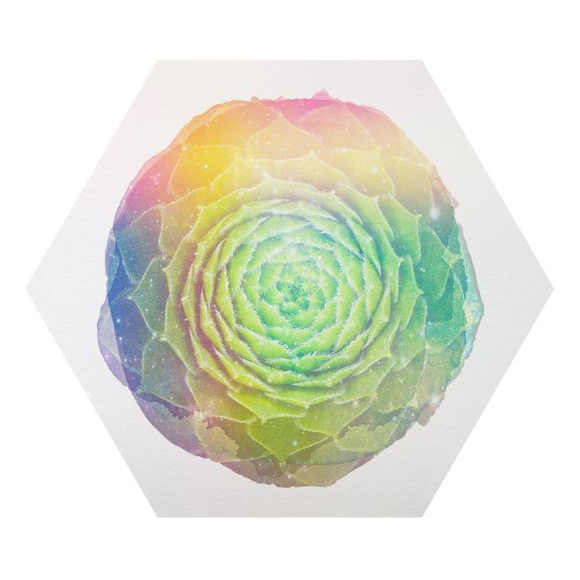 Obrazy kwiatowe Akwarele - Mandala sukulent