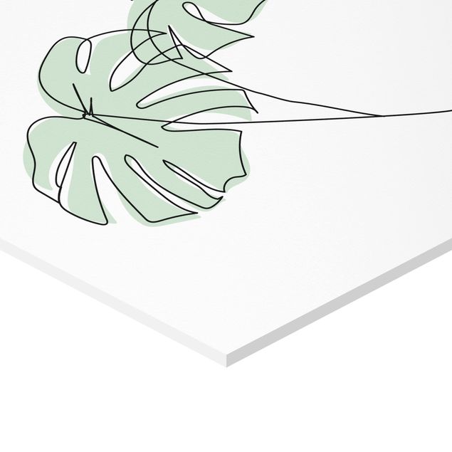Obraz heksagonalny z Forex - Line Art Monstera Leaves