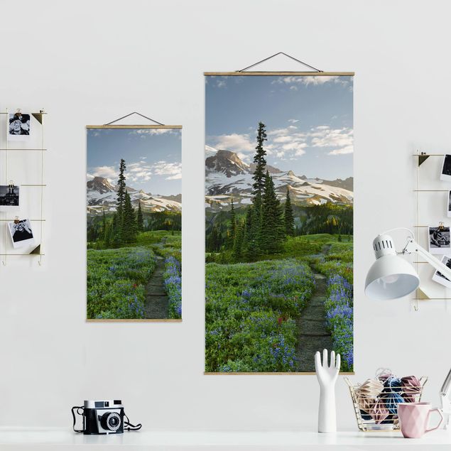 Obrazy na ścianę krajobrazy Ścieżka łąkowa z widokiem na góry