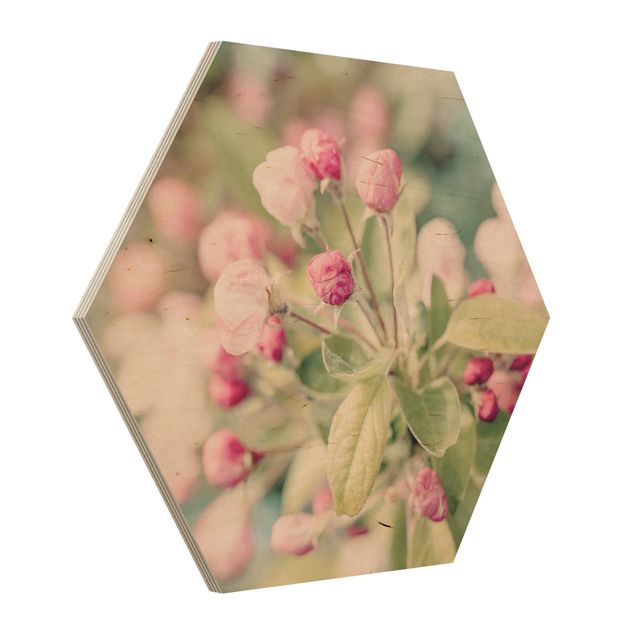 Obrazy vintage Kwiat jabłoni bokeh różowy