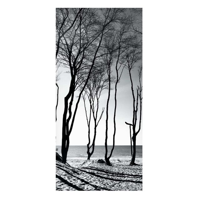 Obrazy do salonu Drzewa nad Morzem Bałtyckim